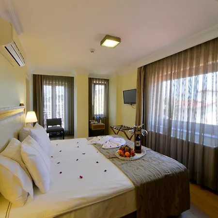 Agora Life - Special Class